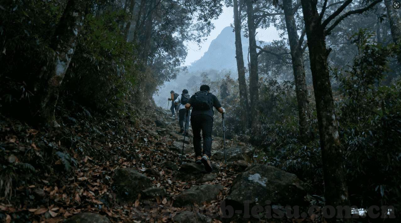 mk体育官网下载-MK体育官网，一站式体验顶级体育赛事与娱乐的便捷门户